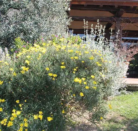La Casa Nella Macchia * Monte Argentario